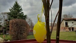 BlackBerry Porsche Design P’9982