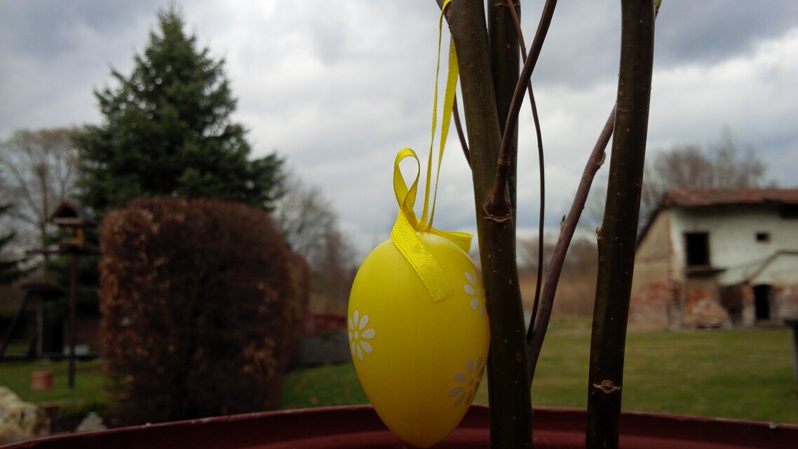 BlackBerry Porsche Design P’9982