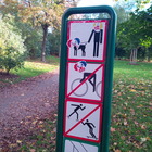 BlackBerry Porsche Design P’9983