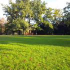 BlackBerry Porsche Design P’9983