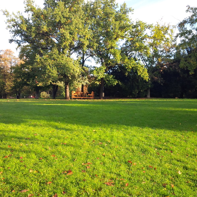 BlackBerry Porsche Design P’9983