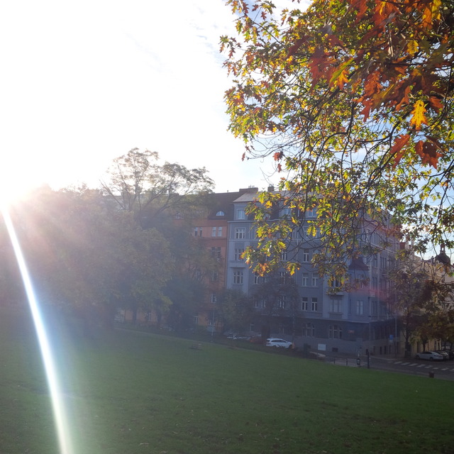 BlackBerry Porsche Design P’9983