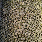 BlackBerry Porsche Design P’9983