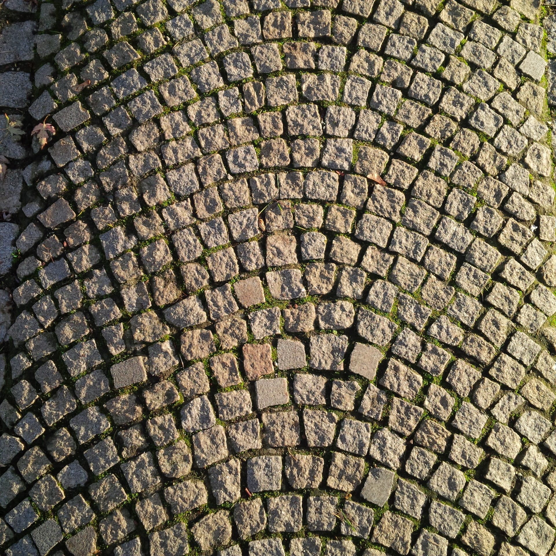 BlackBerry Porsche Design P’9983