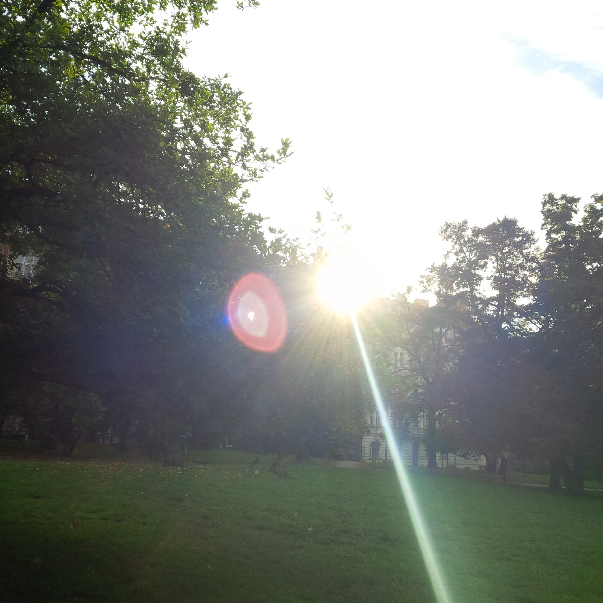 BlackBerry Porsche Design P’9983