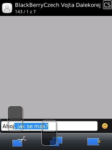 BlackBerry Torch 9800