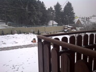 BlackBerry Torch 9800