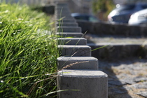 Canon EOS 5D Mark II