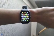 Canyon Barberry SW-79