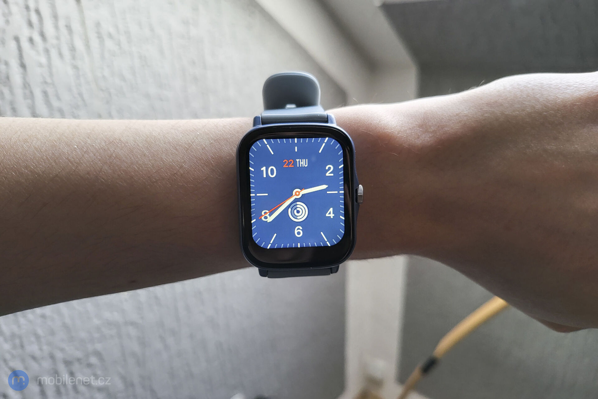 Canyon Barberry SW-79