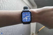 Canyon Barberry SW-79