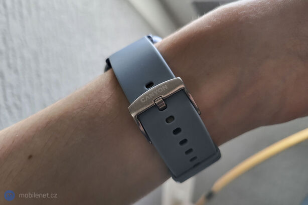 Canyon Barberry SW-79