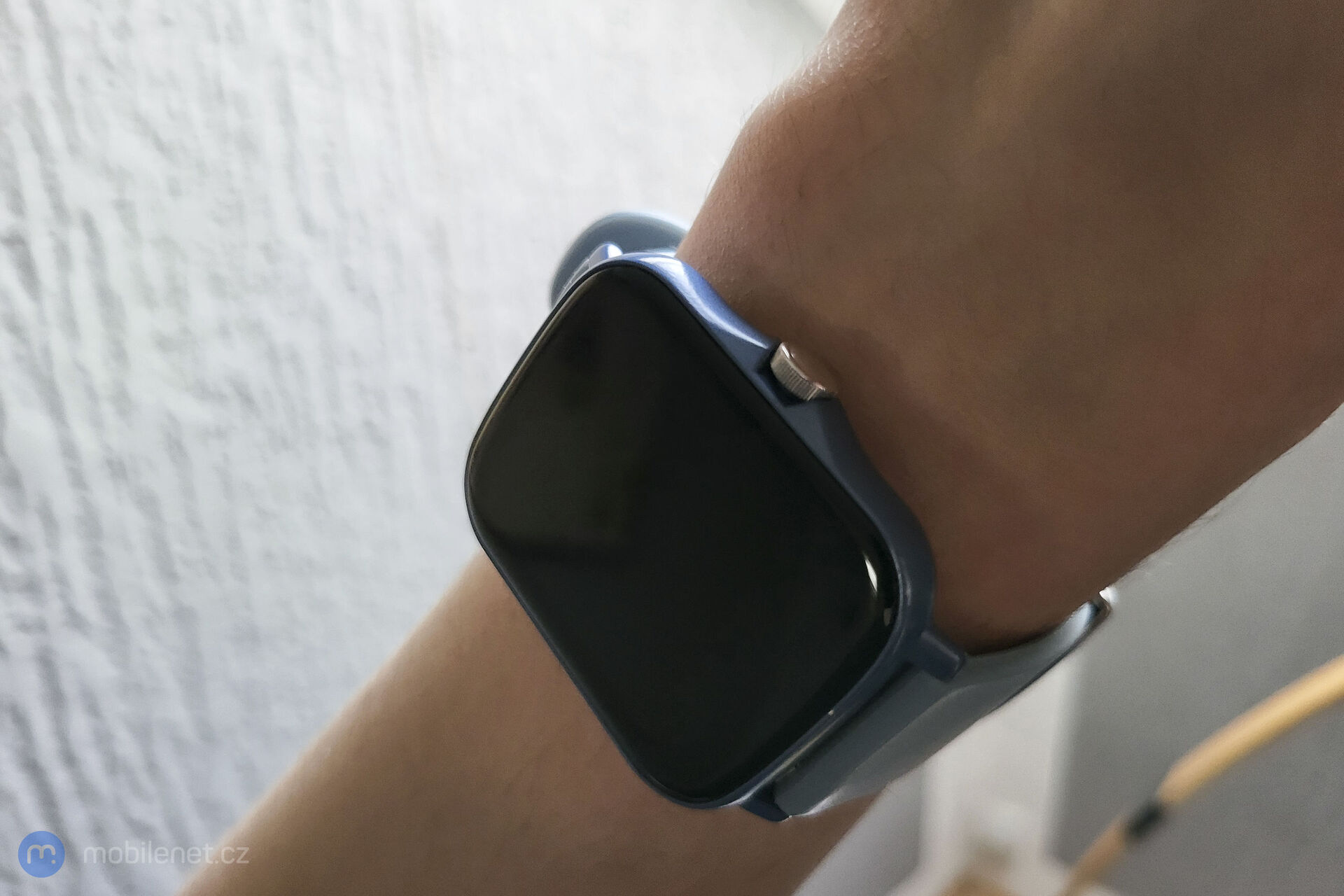 Canyon Barberry SW-79