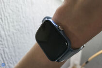 Canyon Barberry SW-79