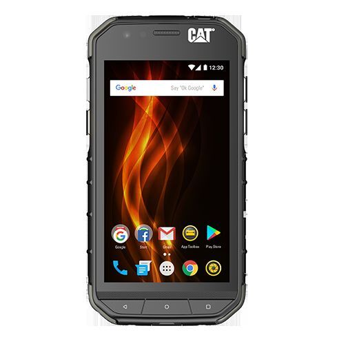 CAT S31
