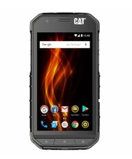 CAT S31