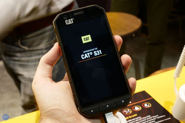 CAT S31
