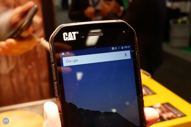 CAT S41
