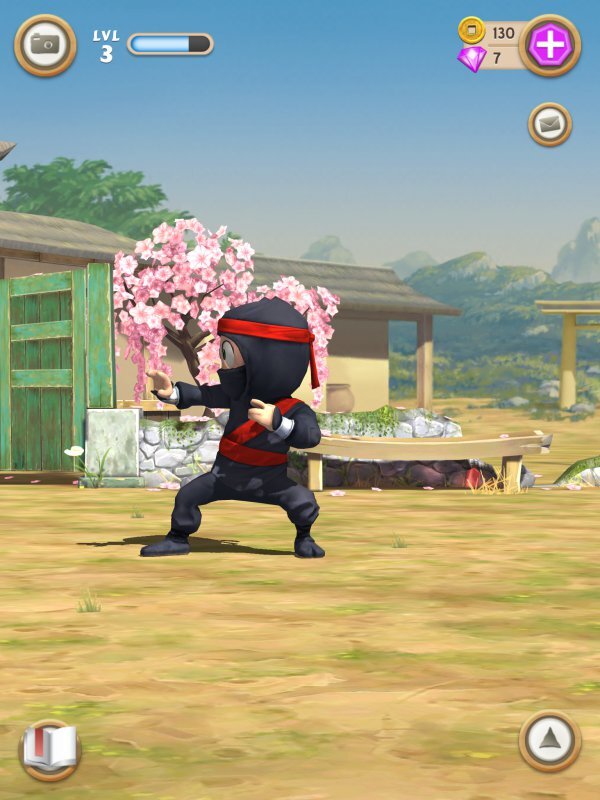 Clumsy Ninja