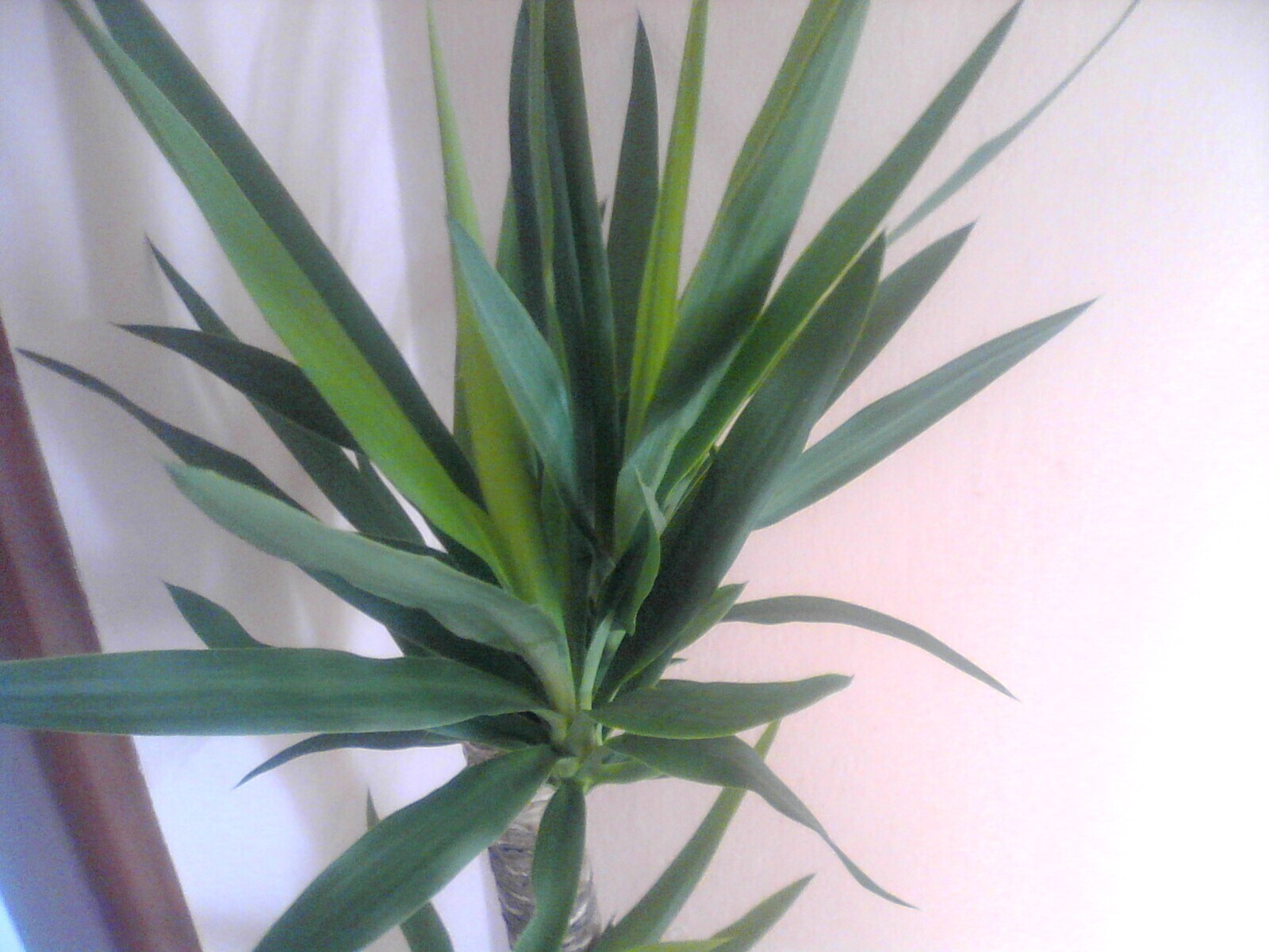 Colorovo CityTab Vision 3D