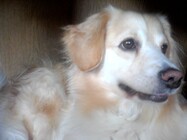 Colorovo CityTab Vision 3D