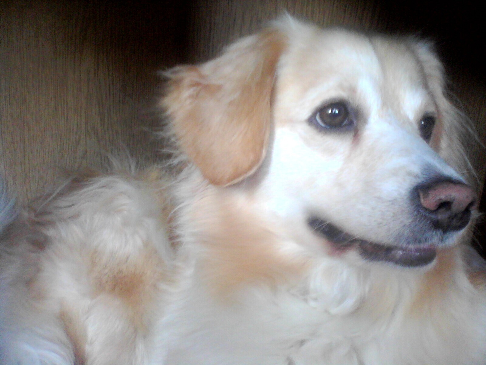 Colorovo CityTab Vision 3D