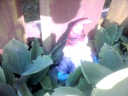 Colorovo CityTab Vision 3D