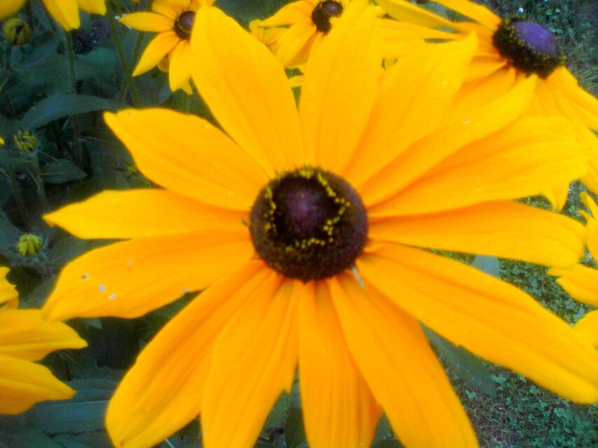 Colorovo CityTab Vision 3D