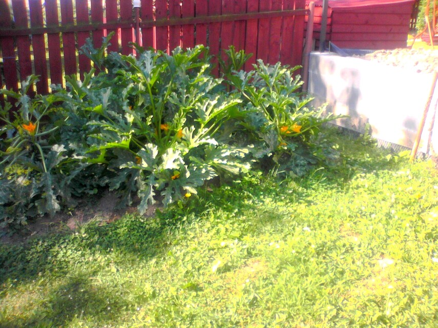 Colorovo CityTab Vision 3D