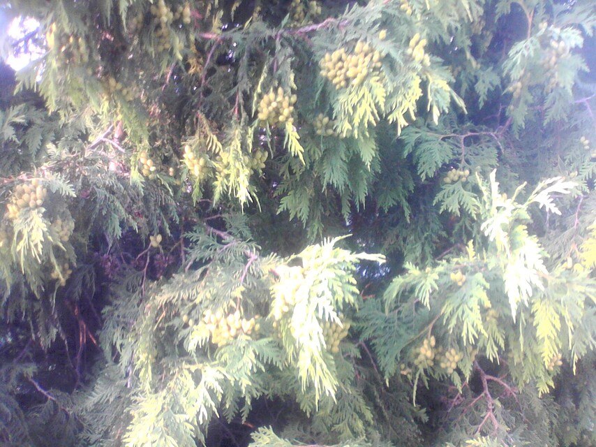 Colorovo CityTab Vision 3D