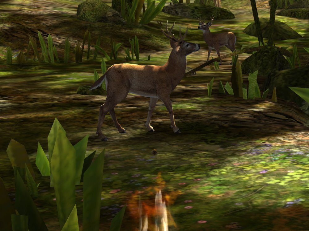 Deer Hunter 2014