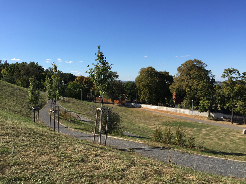 denní fotka iPhone 6