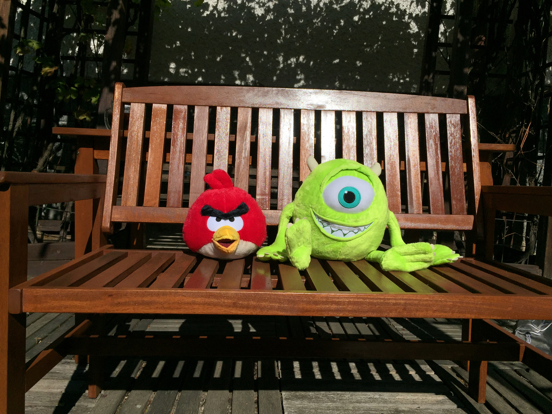 denní fotka iPhone 6