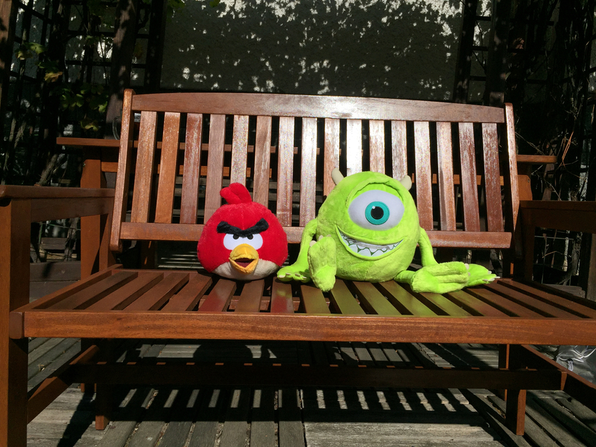 denní fotka iPhone 6