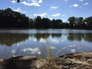 denní fotka iPhone 6denní fotka iPhone 6