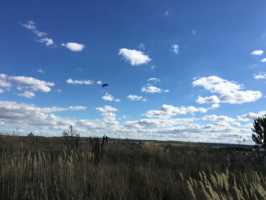 denní fotka iPhone 6s