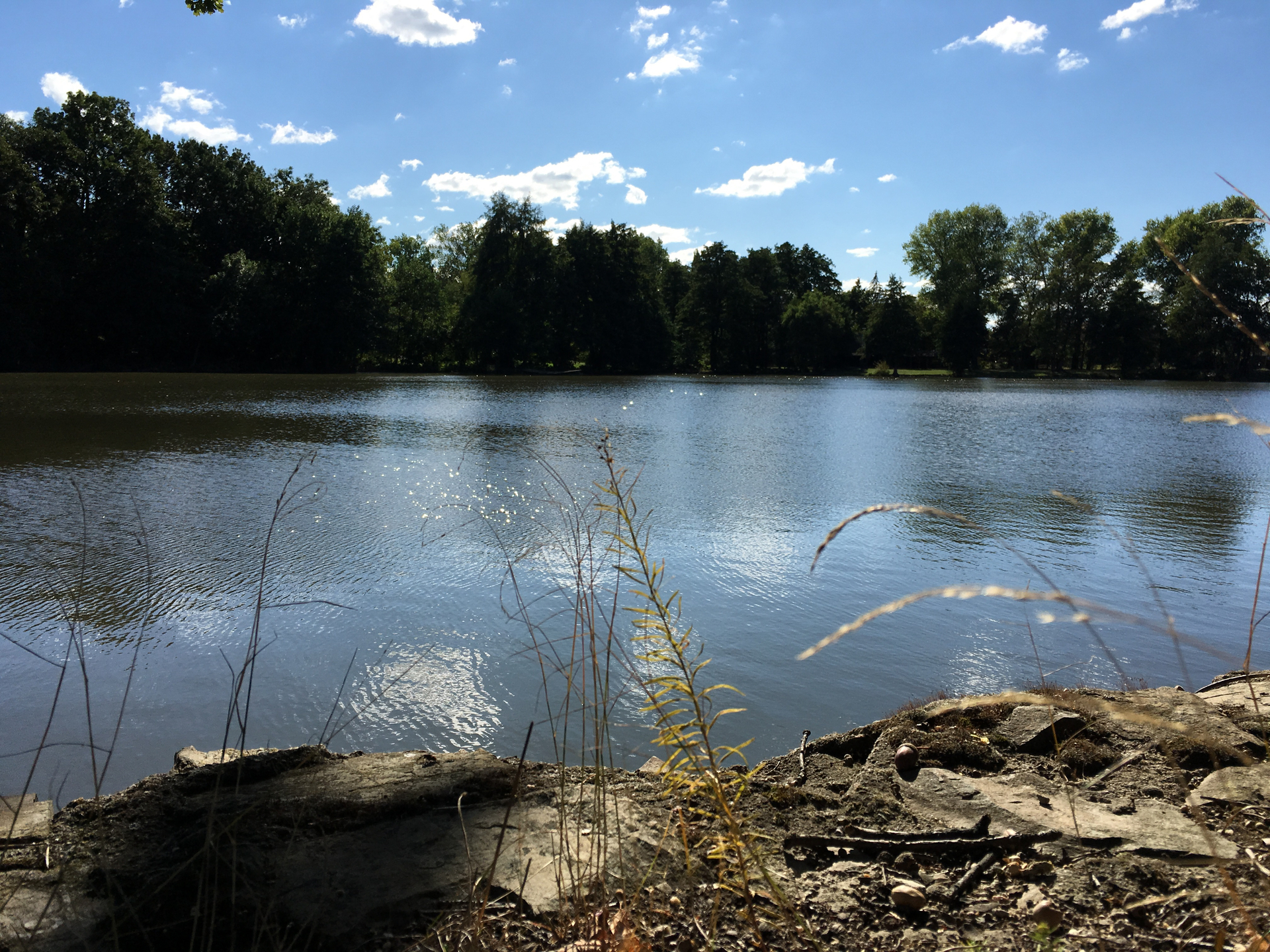 denní fotka iPhone 6s