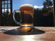 denní fotka iPhone 6s