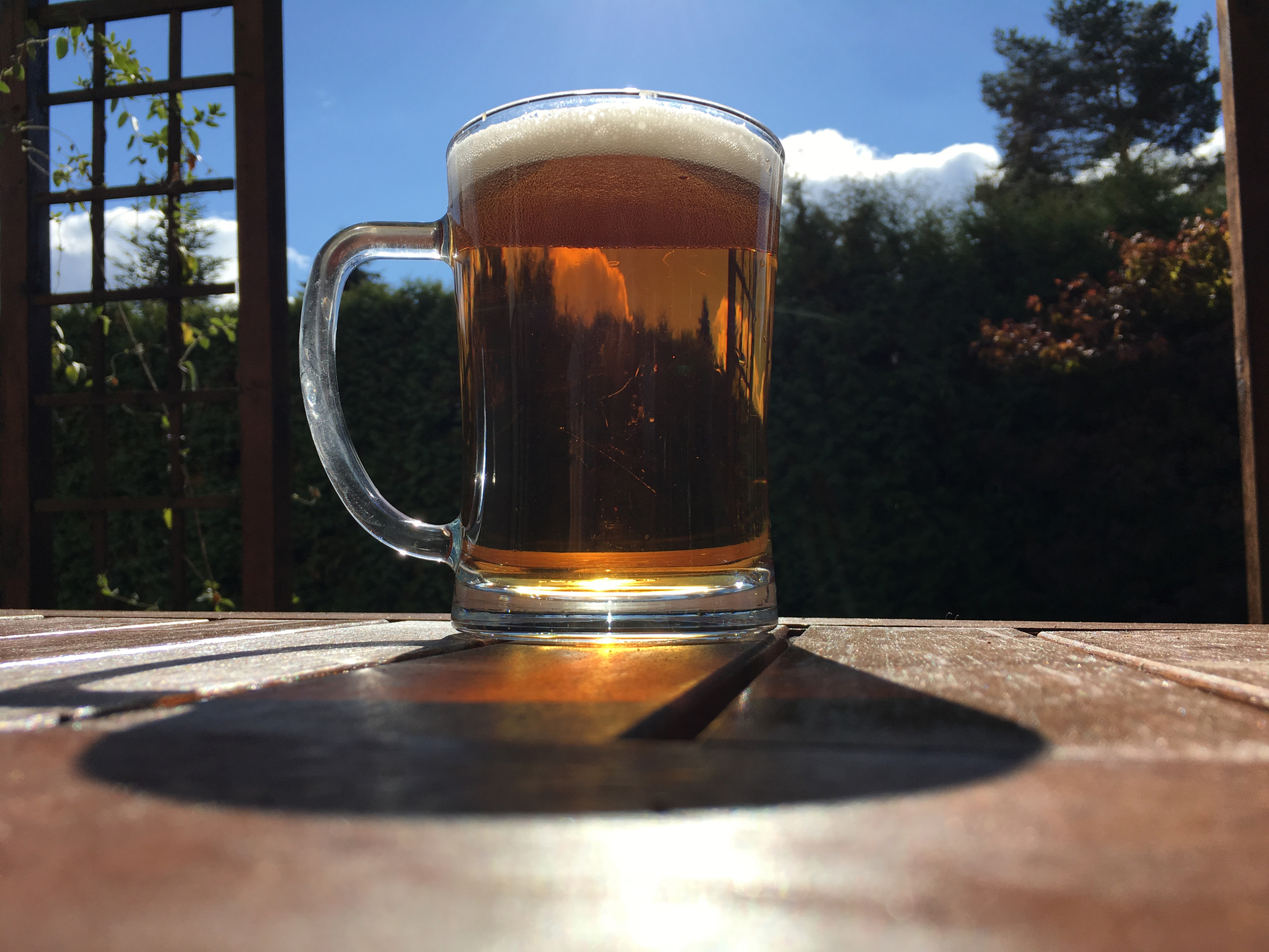 denní fotka iPhone 6s