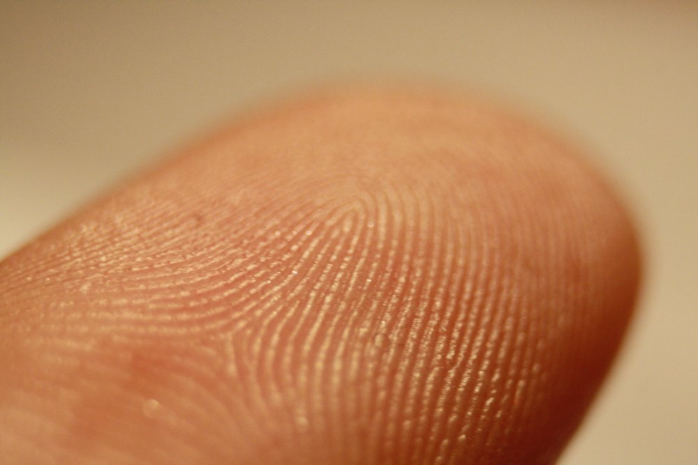 Detail papilárních linií na mužském prstu