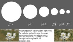 Diagram znázorňující zmenšující se otvor clony se zvětšujícím f-číslem