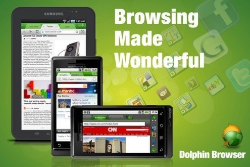 Dolphin browser