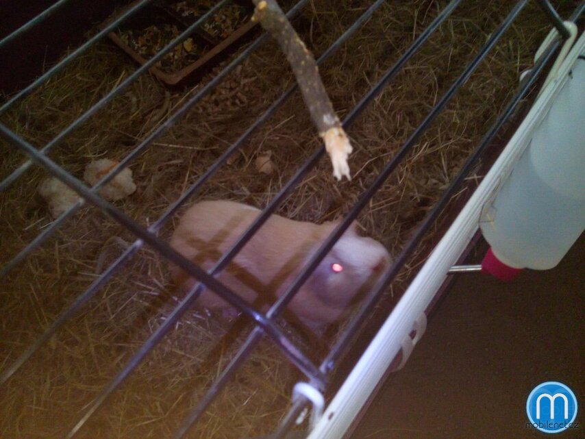 Doogee Turbo-mini F1