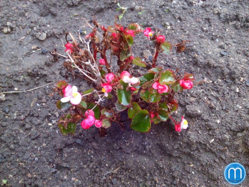 Doogee Turbo-mini F1