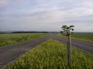 Duel: Gio vs. Optimus One