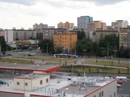 Emgeton Flexaret Mini