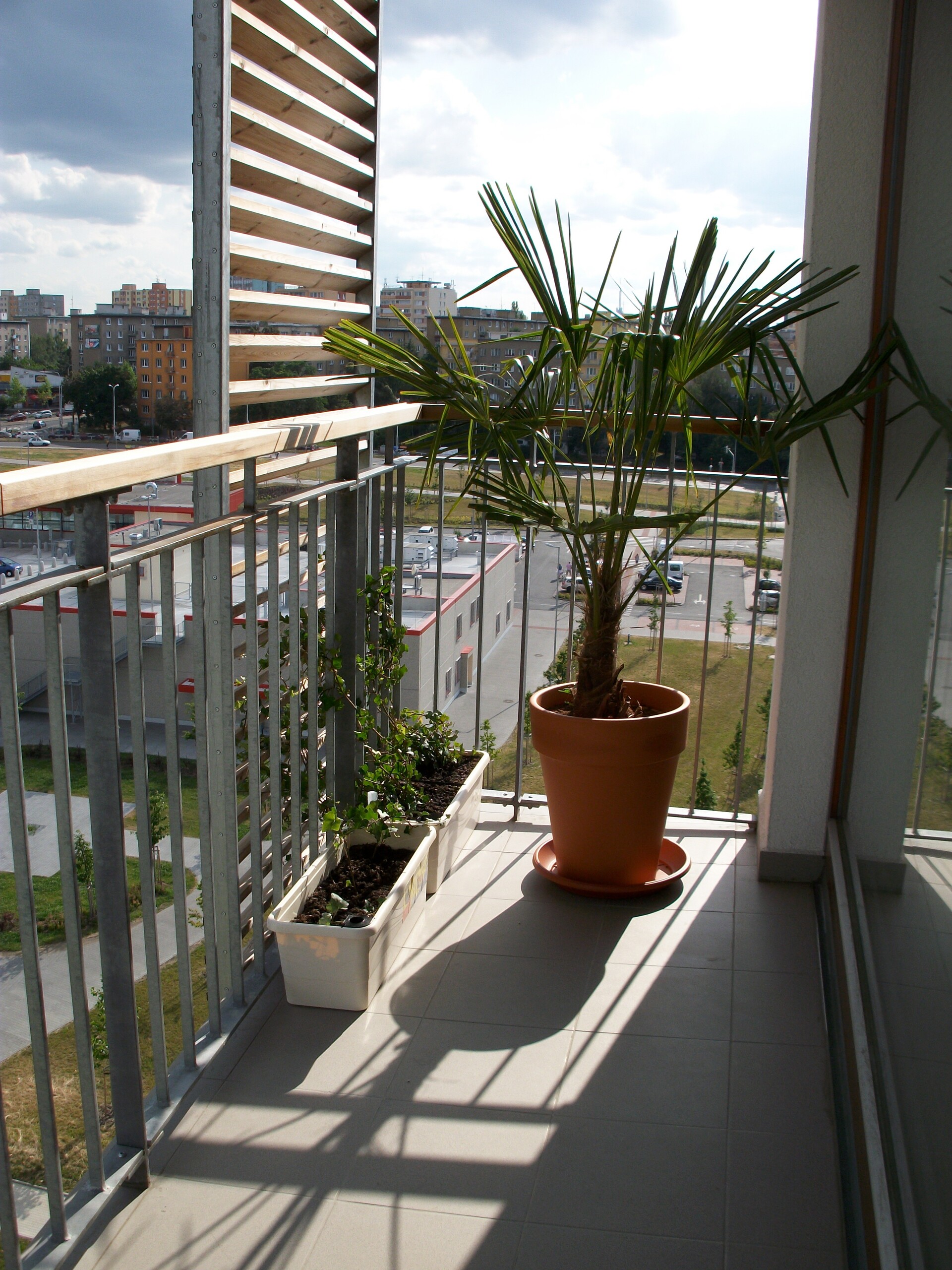 Emgeton Flexaret Mini