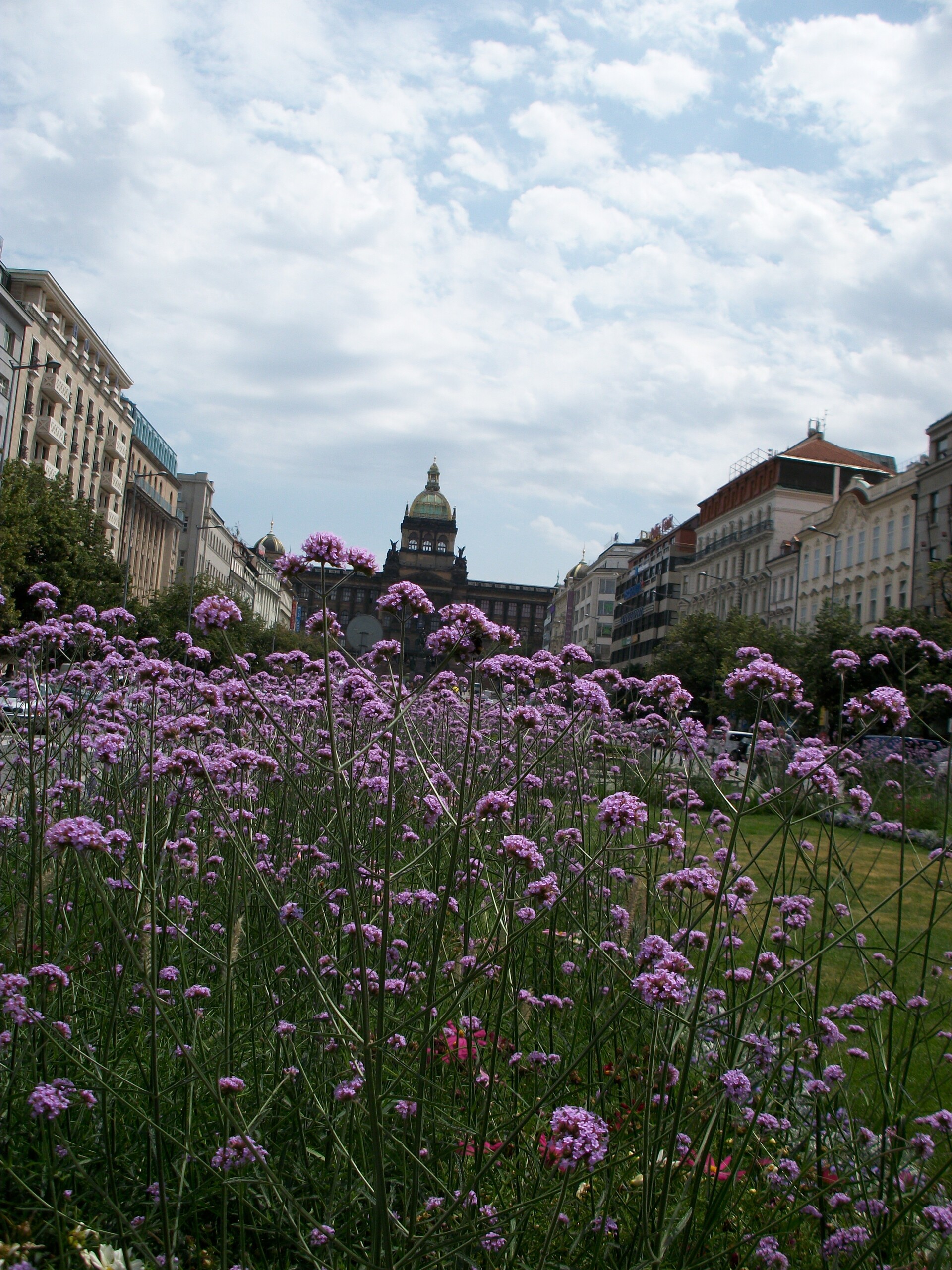 Emgeton Flexaret Mini