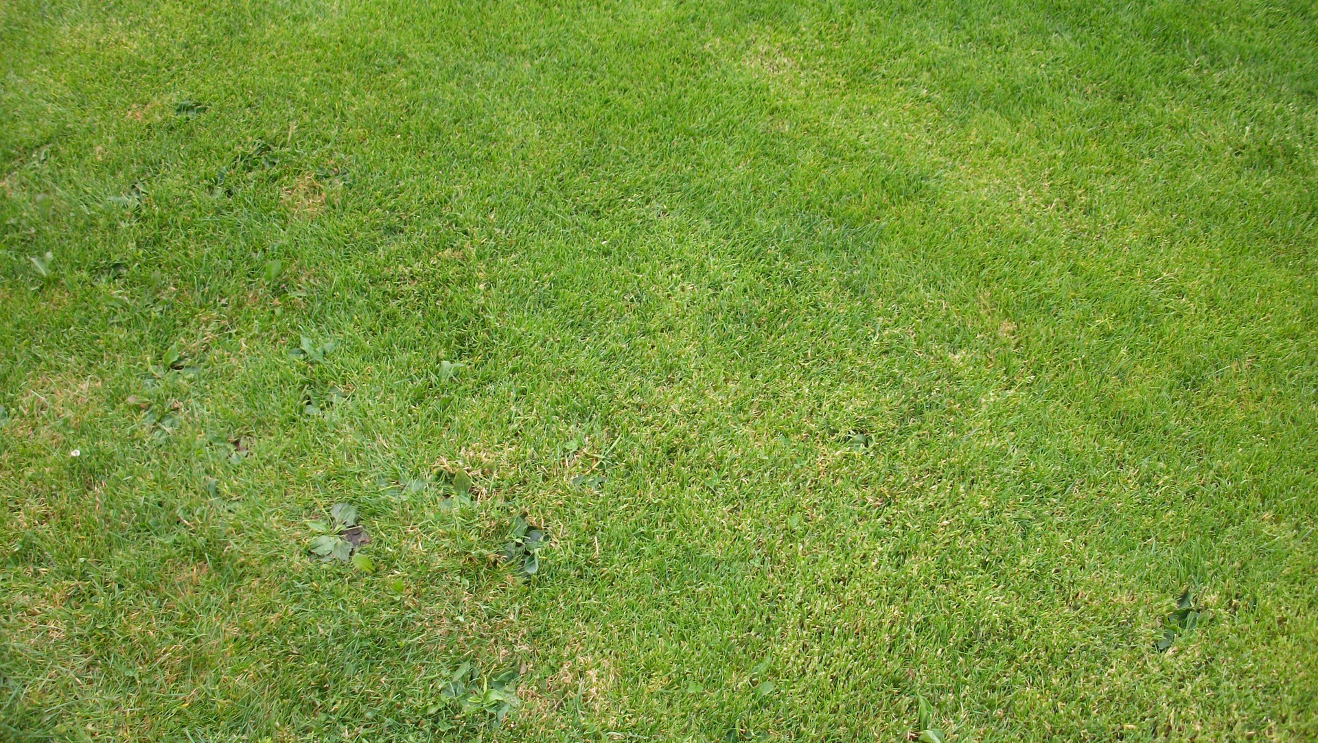 Emgeton Flexaret Mini