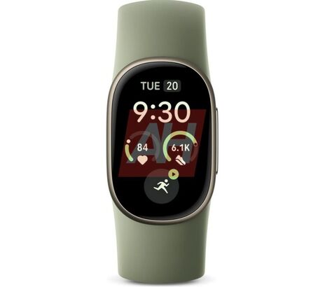 Fitbit Edge